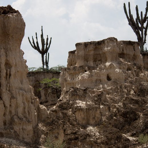 Cárcavas de Quíbor, en el municipio Jiménez